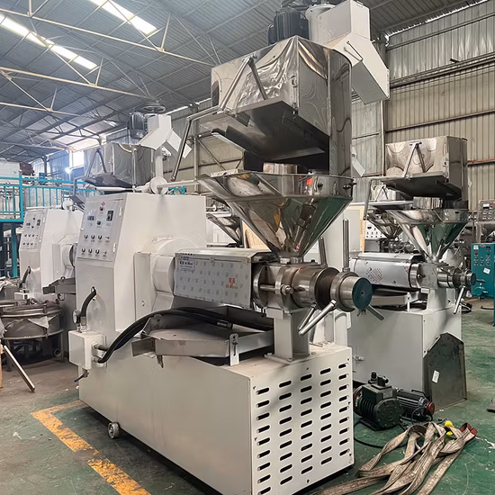 Mini presse à huile automatique pour toutes sortes de graines, offre spéciale